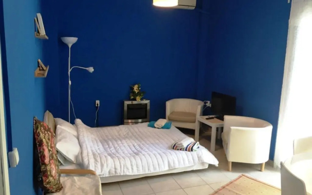 Blue House Efi