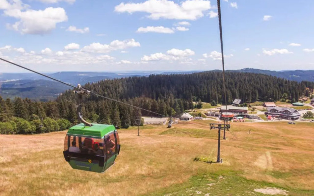 Ferienwohnung Schwarzwaldtraum - 2Zi - Feldberg