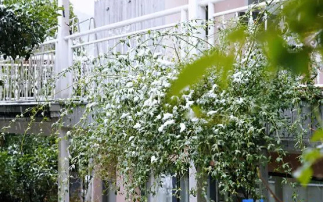 Longjing Xinqing Inn (West Lake Garden)