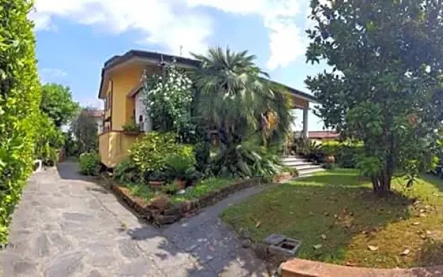 B&B La Foglia Verde