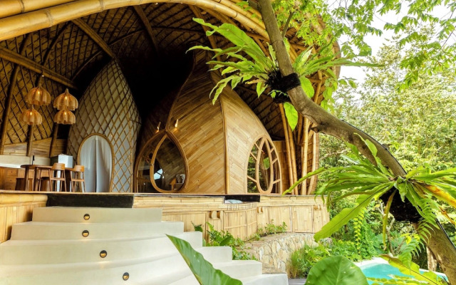 Cocoon Reserve