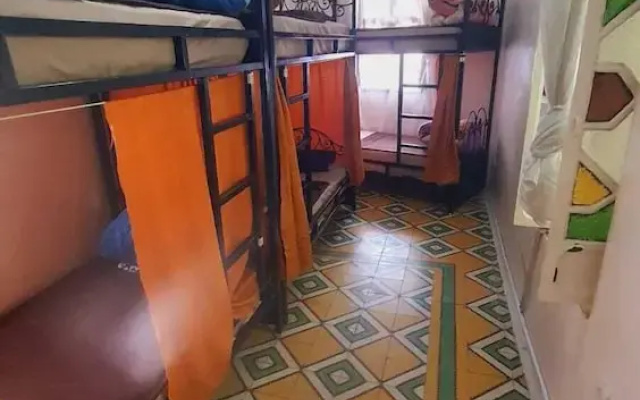 hostel aline
