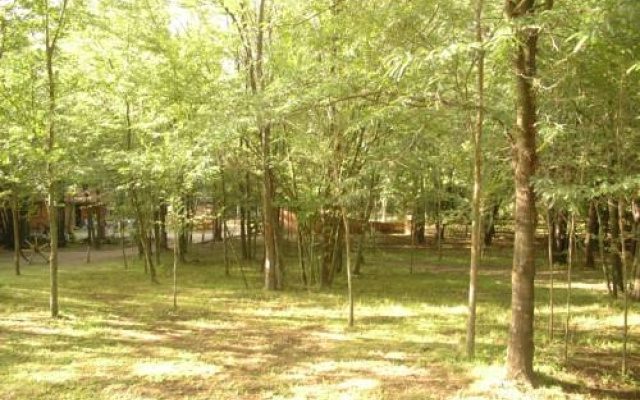 Bosque Encantado Cabañas