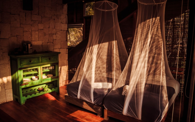 Vida Silvestre Tulum