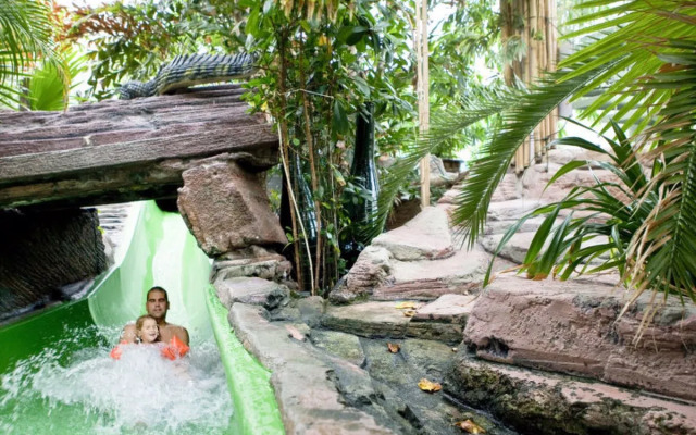 Center Parcs Zandvoort 35404