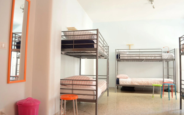 Olive Tree - Hostel