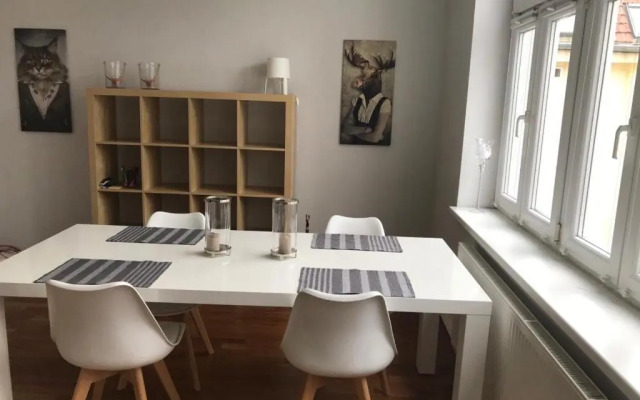 Apartment Zebra