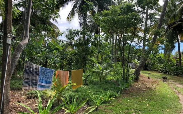 Siri medura surf yoga meditation guesthouse and hostel