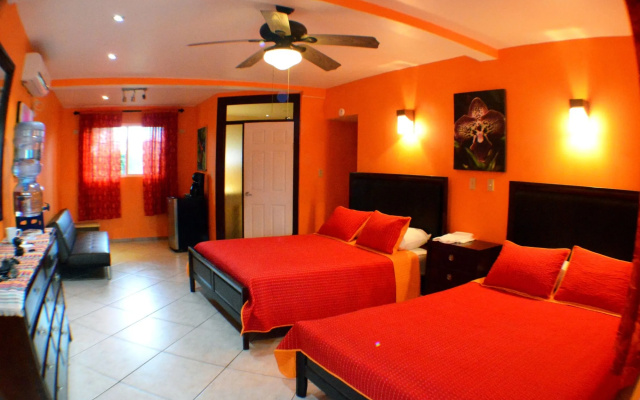 All Seasons Belize