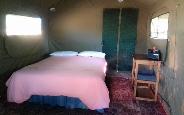 Warthogs Safari Camp