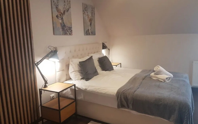 Poduszka Apartments Pod Lysica