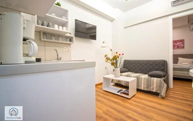Syntagma Square Athenian apartments