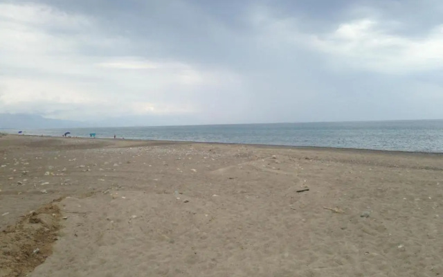 Le 3 Tartarughe