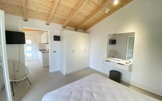 Alexander studio