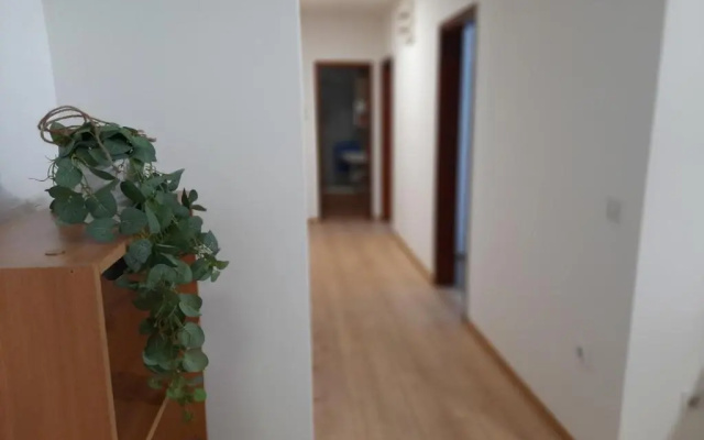 Apartmani Sunflower