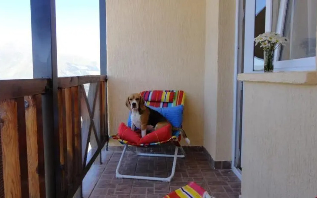 GoGudauri Pent House