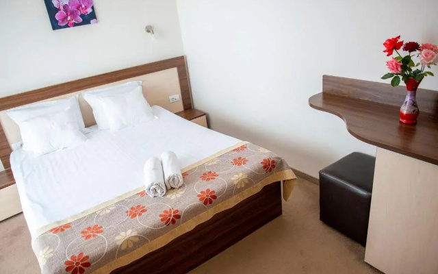 Complex Hotelier Vulturul