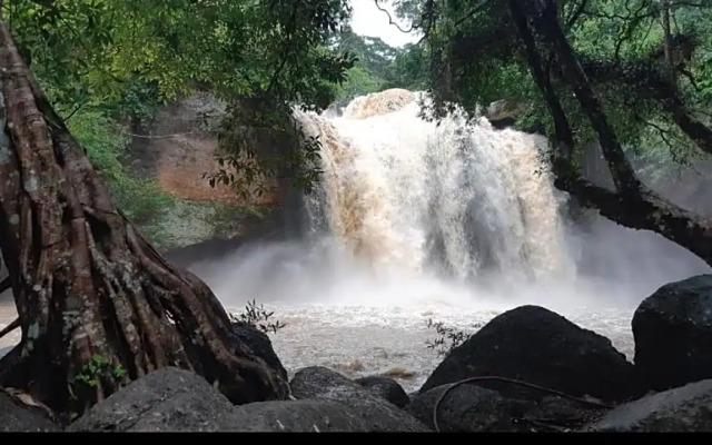 Pakchong hostel & wildlife tour