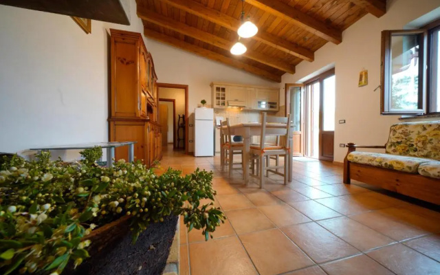 L'oliveto