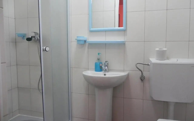 Pension Puiu