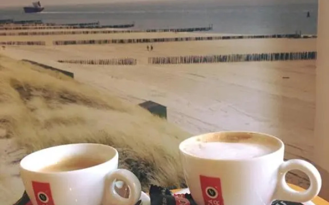 Appartement 1 aan het strand met hond