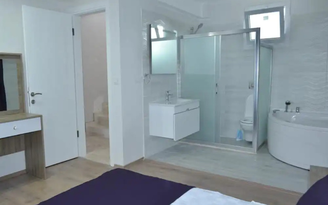 New Age Villa Lilya Hisar