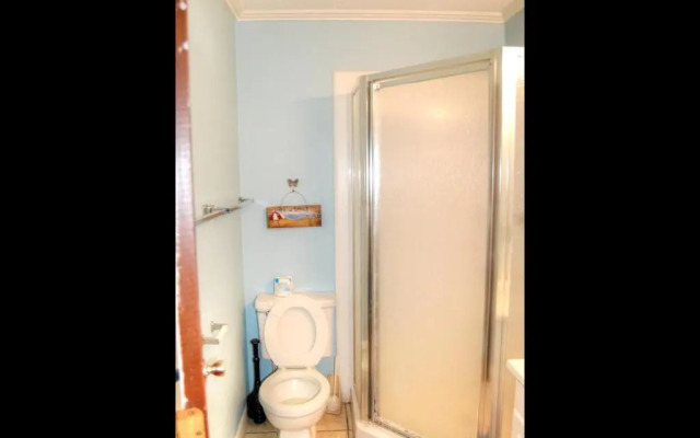 Ocean Forest 204 A