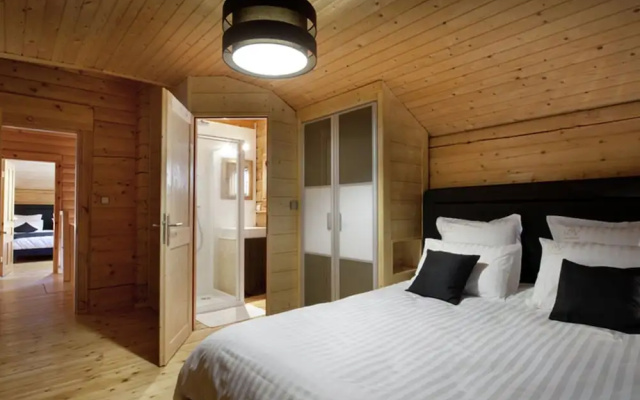 Luxury Chalet in the Very Extensive Paradiski ski Area