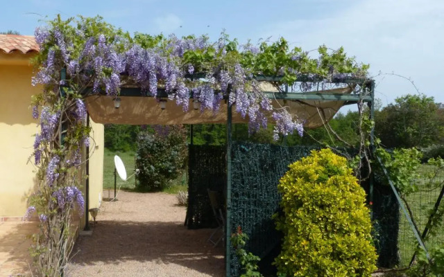 Carestella