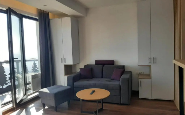 Ariš Kopaonik apartman A21