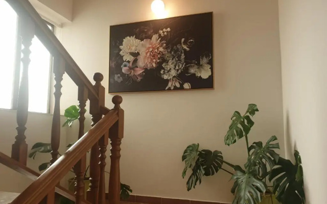 Apartments Dolac