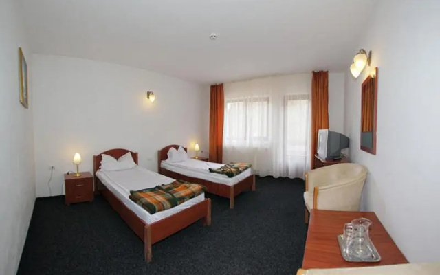 Hotel Paltinis