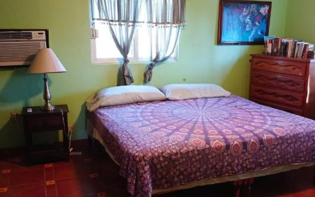 Iguana Loca Hostel