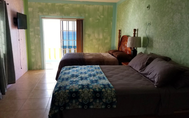 BLS Wellness Guest House