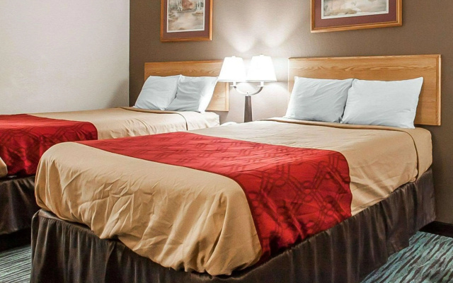 Econo Lodge Inn & Suites Jackson Northwest