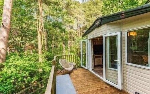 Tree Tops - Kelling Heath Holiday Park - 22244