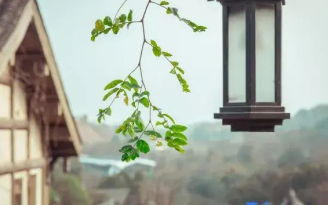 Yunoji Forest Courtyard Homestay (Wufengxi Ancient Town)