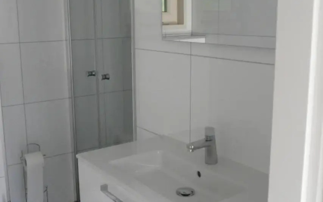Dolfijn