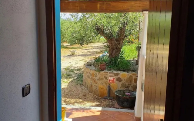 Tenuta Don Ballore