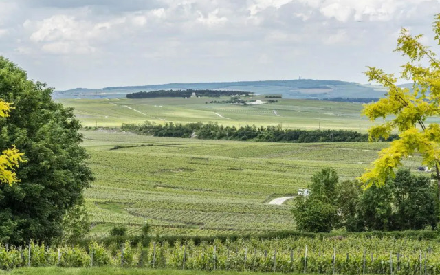 Gîte Rilly-la-Montagne