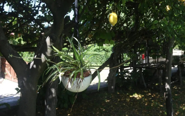 Emy's Country House