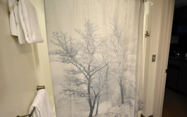 Expedition Station 308-1 Bedroom Studio in Village