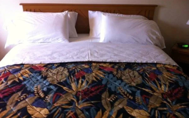 D-Lux Budget Inn