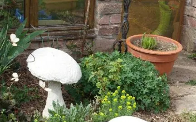 Le jardin des secrets