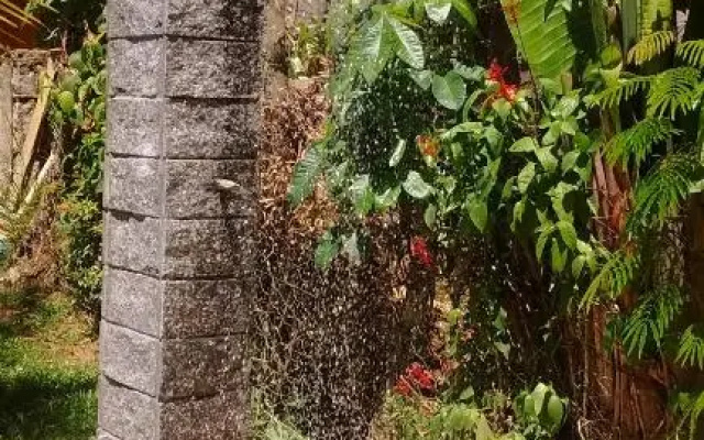 Aconchego Graúna