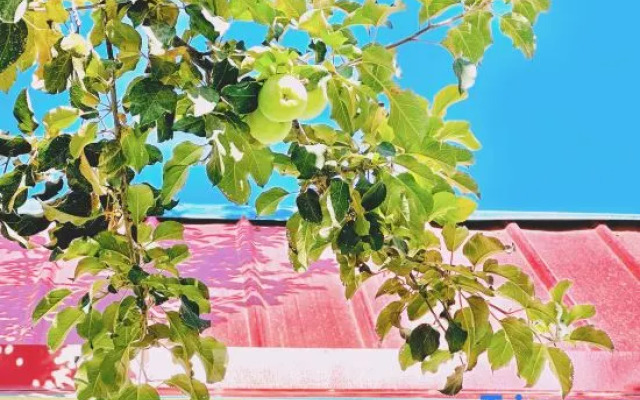 Xiaochen Bieyuan Homestay (Yining Sichuan Road Branch)