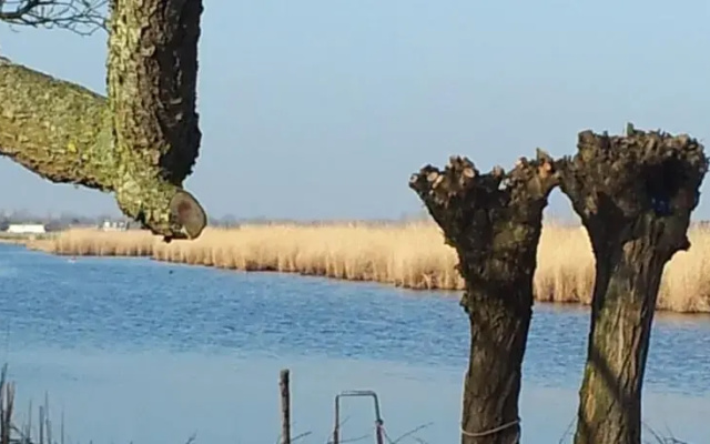 Het Morgenland