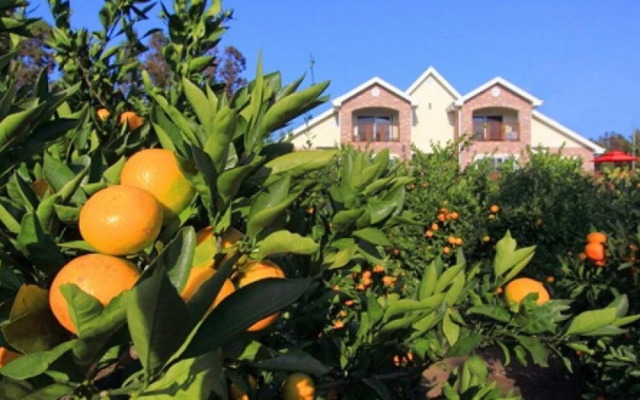 Seoguipo Lucky Clover Pension