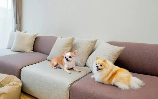 Rakuten STAY VILLA Yatsugatake