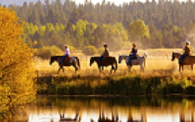Silver Pine Lodge